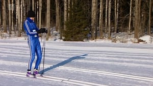 Etsi viisi virhettä: 19.12.2016 07.52