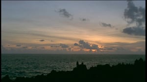 Erikoiset merenelävät: 19.08.2016 16.45