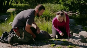 Dok: Sopeudu, siirry tai kuole: 27.11.2015 20.00