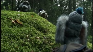 Karvakuonot ja Susikurun seikkailu (S): 06.06.2016 18.00