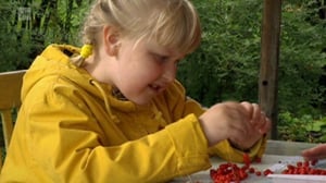 Puutarhan tonttu: 01.09.2016 07.03