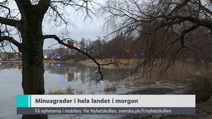 Yle Nyheter TV-nytt: 31.12.2016 19.30