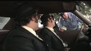 Bergmanin videot (7): 20.11.2016 20.15