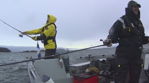 Eränkävijät: 02.10.2016 00.01