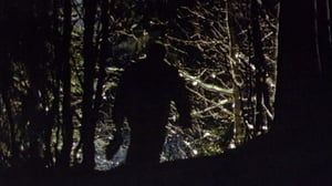 Ei vanhene koskaan: Kadonnut, kadotettu (7): 29.08.2016 12.00