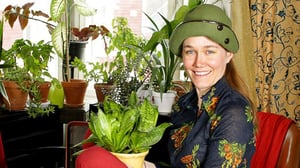 Dok: Nykyajan ahdistukset: 23.09.2016 19.55