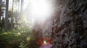 Metsien kätkemä: 14.06.2016 20.03