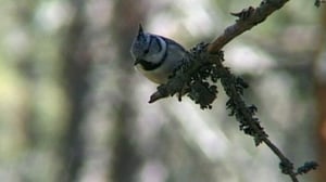 Yhdessä (S): 07.10.2016 18.00
