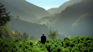 Taiteen maantiede: Kiina: 23.08.2016 20.01