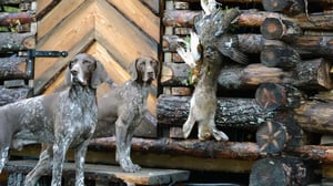 Eränkävijät: 02.10.2016 00.01