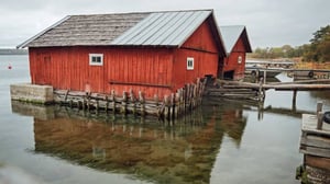 Metsien kätkemä: 14.06.2016 20.02