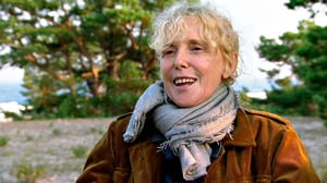 Bergmanin videot (12): 06.11.2016 20.15