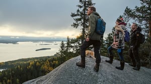 Metsien kätkemä: 14.06.2016 20.04