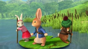 Petteri Kaniini (S): 19.11.2016 08.46