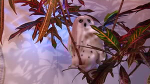 Unna Junná: 23.10.2016 08.15