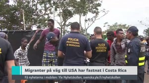 Yle Nyheter TV-nytt: 26.12.2016 19.30