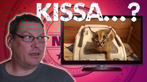 Jakso 144: Omituista maukumista