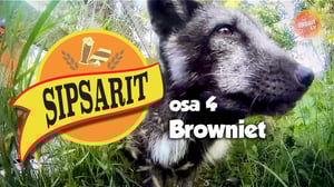 Eläinsuojelukeskus Tuulispää