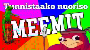 Tunnistaako nuoriso meemit?