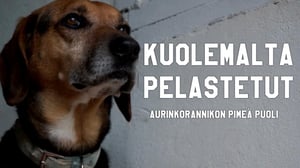 Kuolemalta pelastetut