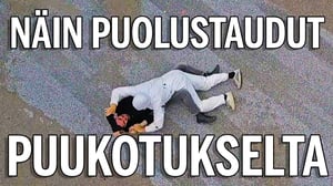 Mikä on tehokkain itsepuolustus?