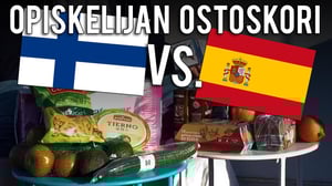 Opiskelijan ostoskori 2018: Kuinka paljon halvempaa Espanjassa on?