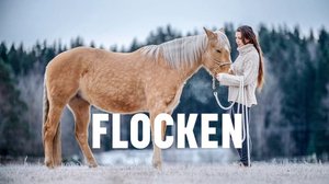 Hevoset muuttivat elämän