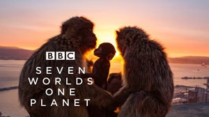 Seven Worlds, One Planet