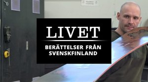 Livet - suomenruotsalaisia tarinoita