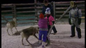 Mánát vázze skuvlla Skállovári bigálusbáikkis jo badjel 30 jagi dassái