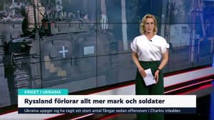 Yle Nyheter TV-nytt 19.30