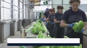 Yle Uutiset Kaakkois-Suomi