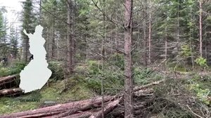 Yle Uutiset Uutis-Suomi