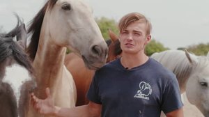 Ratsastuksen maailma