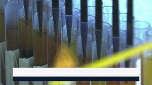 Yle Uutiset Keski-Suomi ja Etelä-Savo