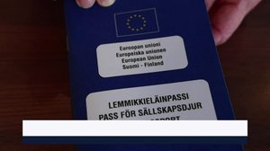 Yle Uutiset Pirkanmaa