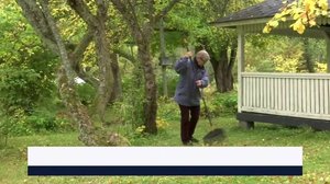 Yle Uutiset Keski-Suomi ja Etelä-Savo