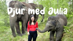 Julian eläinystävät