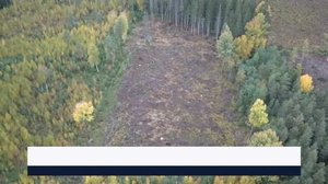 Yle Uutiset Kaakkois-Suomi