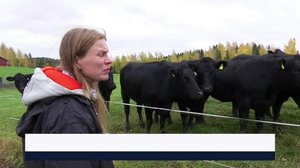 Yle Uutiset Keski-Suomi ja Etelä-Savo