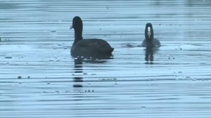 Kosteikoilta ulkoluodoille