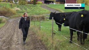 Yle Uutiset selkosuomeksi