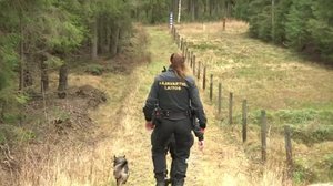 Yle Uutiset selkosuomeksi