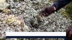 Yle Uutiset Pohjanmaa