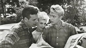 Yks' tavallinen Virtanen