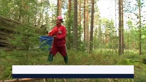 Yle Uutiset Pohjois-Suomi