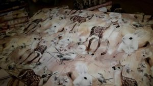 Yle Uutiset Pohjanmaa