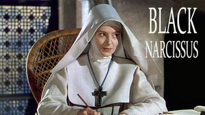 Musta narsissi
