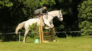 Ratsastuksen maailma