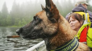 Pelastuskoirat